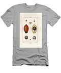 Areca Palm Tree Areca Cathecu or Areca Nut Betel Palm European School T-Shirt