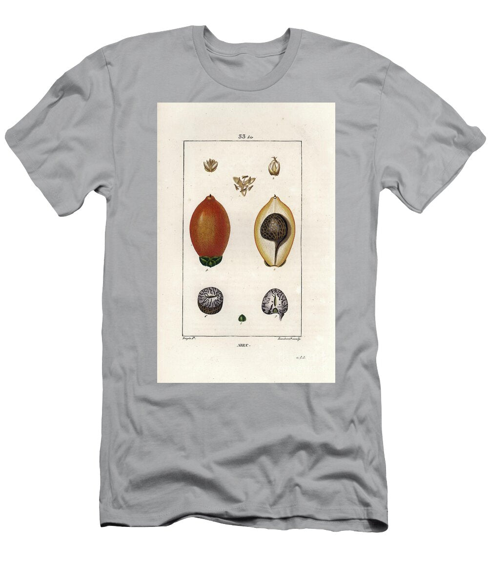 Areca Palm Tree Areca Cathecu or Areca Nut Betel Palm European School T-Shirt