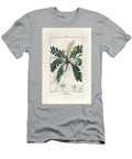 Argentine Cinquefoil Anserine Silverweed or Silver Cinquefoil Argentina Anserina European School T-Shirt