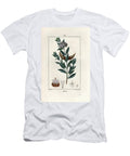Arguel Engraving By Lambert Fils From a Drawing By Pierre Jean Francois Turpin 1775 1840 Argel Solenostemma Argel Cynanchum Oleaefolium Nectoux European School T-Shirt