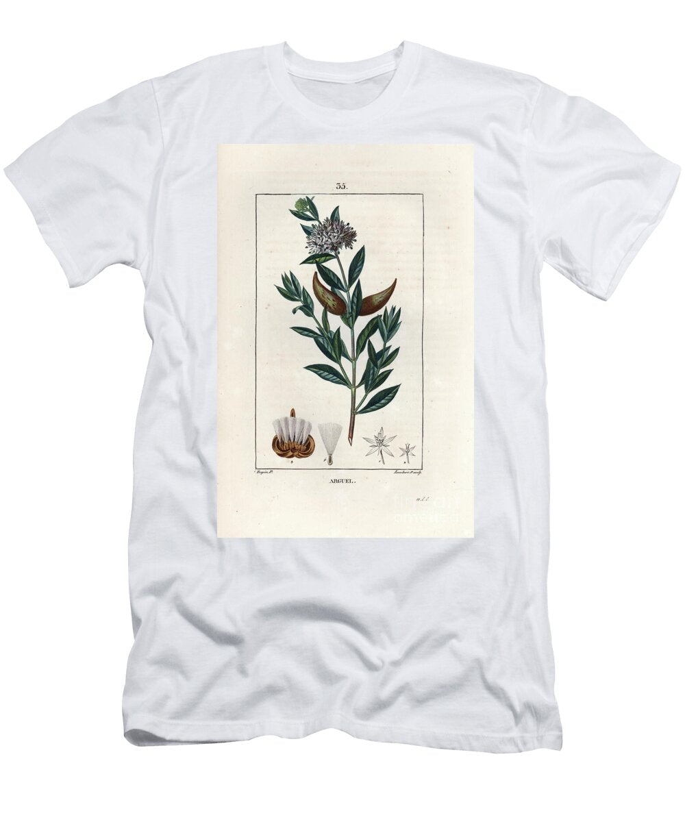 Arguel Engraving By Lambert Fils From a Drawing By Pierre Jean Francois Turpin 1775 1840 Argel Solenostemma Argel Cynanchum Oleaefolium Nectoux European School T-Shirt