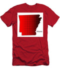 Arkansas Halftone Bigalbaloo Stock T-Shirt