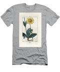 Arnique Arnica Engraving By Lambert Fils Mountain Arnica Arnica Montana European School T-Shirt