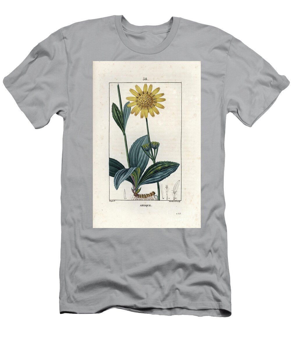 Arnique Arnica Engraving By Lambert Fils Mountain Arnica Arnica Montana European School T-Shirt