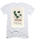 Asaret Deurope Asaracca or Wild Ginger Asarum Europaeum European School T-Shirt