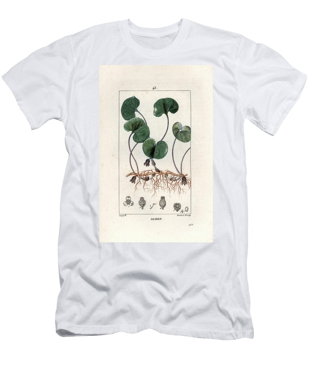 Asaret Deurope Asaracca or Wild Ginger Asarum Europaeum European School T-Shirt