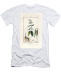 Asclepiade Ou Herbe a LA Wadding Ou Herbe Aux Parruches Engraving By Lambert Fils Swallow Wort Vincetoxicum Hirundinaria European School T-Shirt