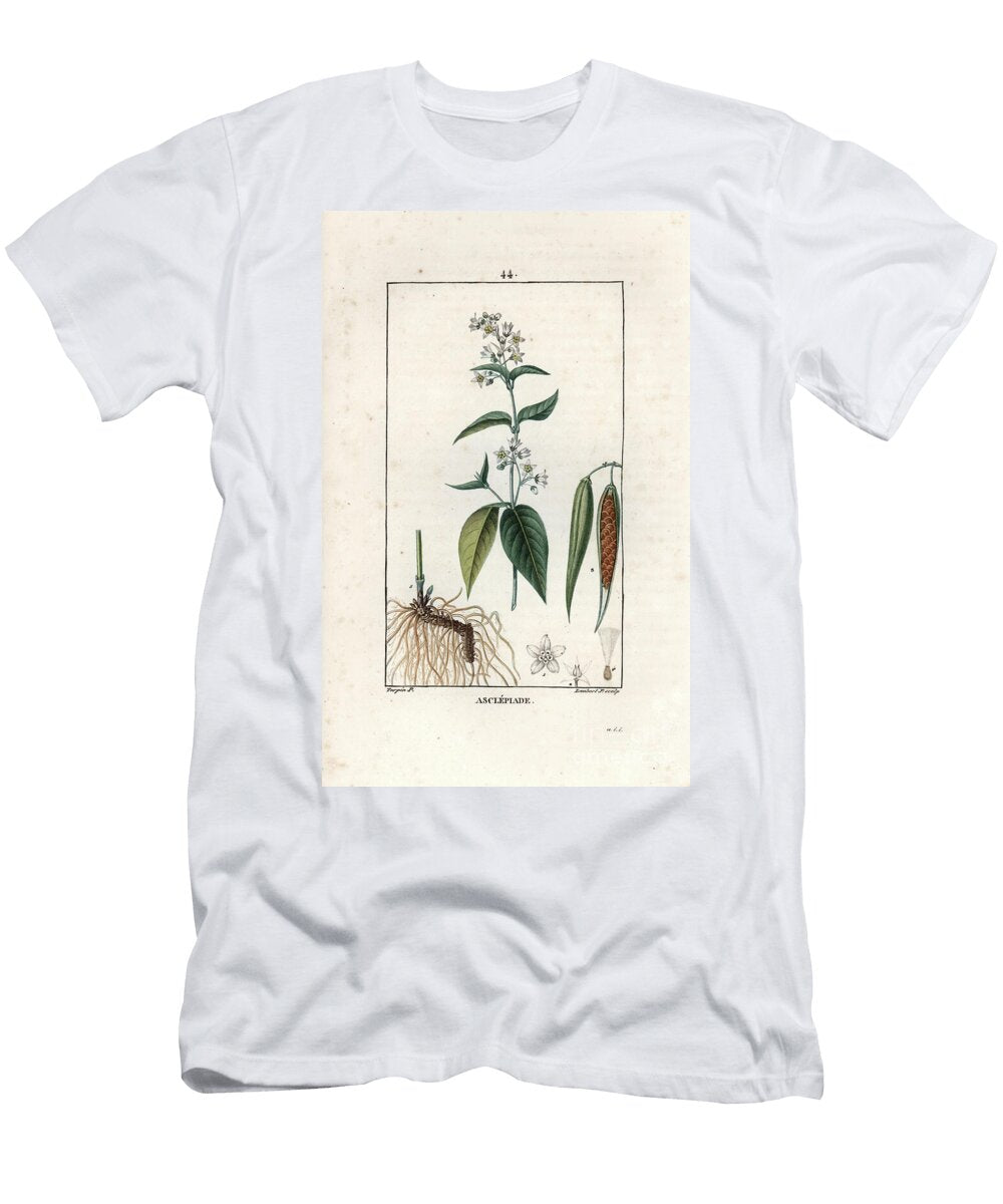 Asclepiade Ou Herbe a LA Wadding Ou Herbe Aux Parruches Engraving By Lambert Fils Swallow Wort Vincetoxicum Hirundinaria European School T-Shirt