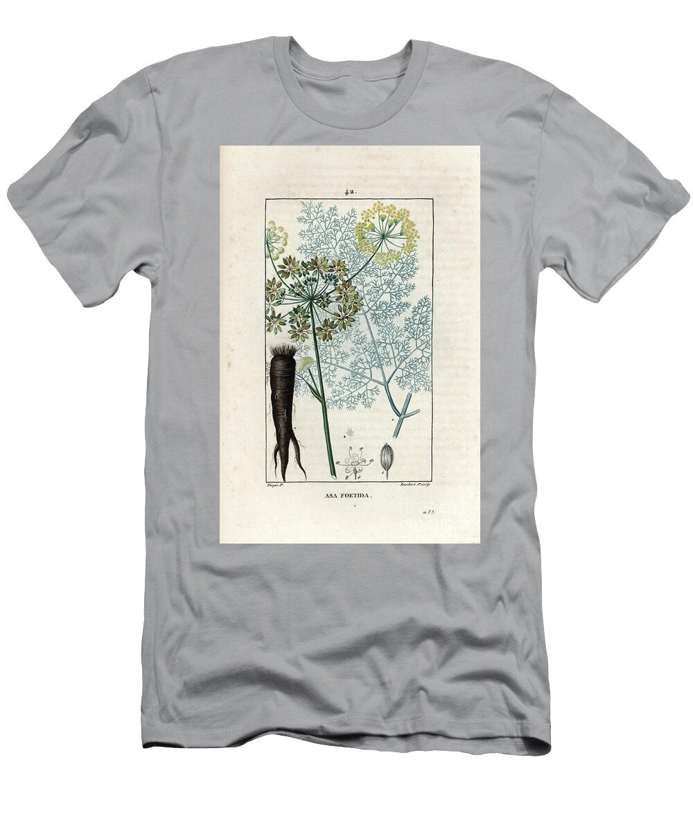 Ase Fetide Ou Ferule Persique Asaafoetida or Asafetida Ferula Assa Foetida European School T-Shirt