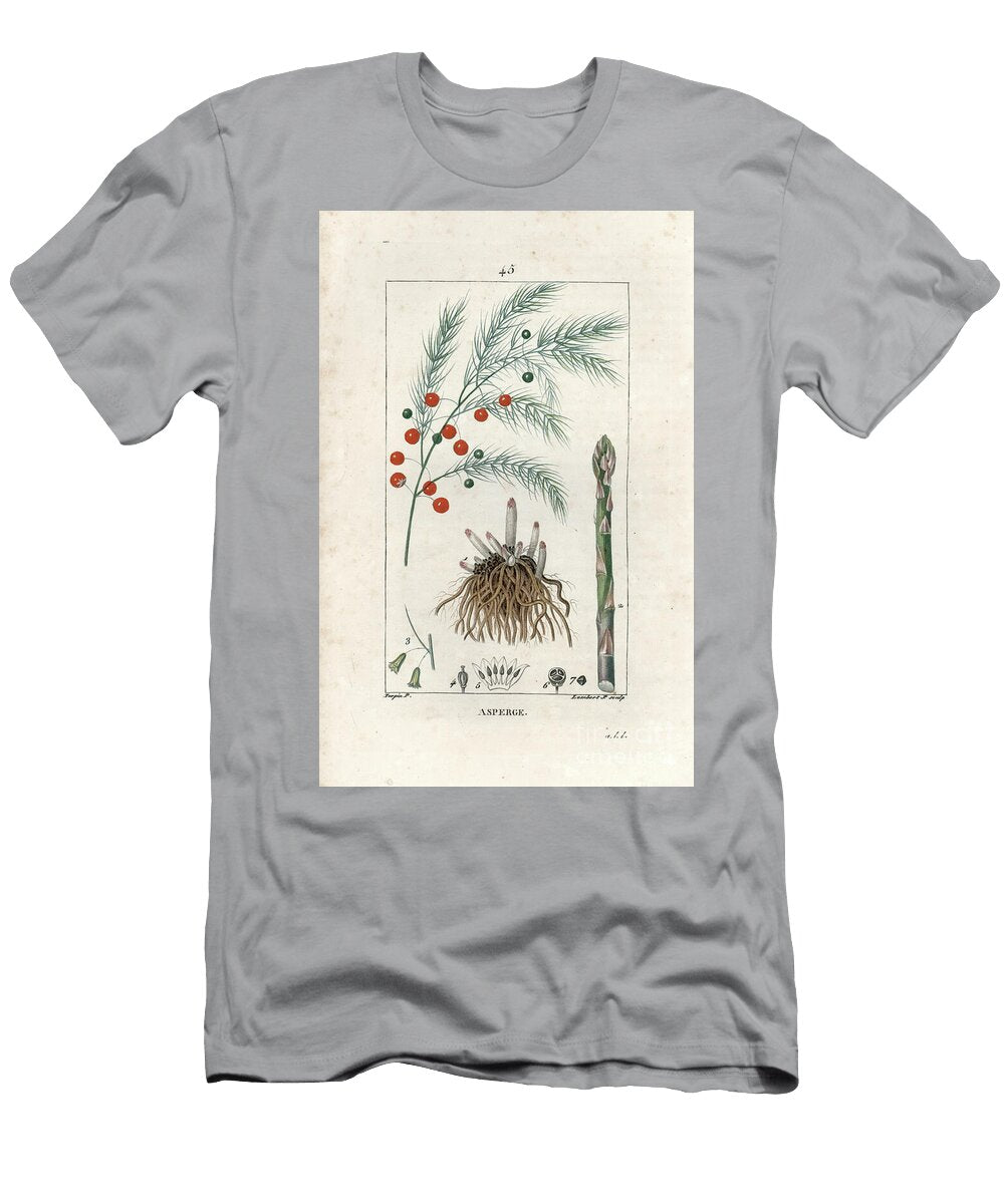 Asparagus Asparagus Officinalis with Root Stalk Berry European School T-Shirt
