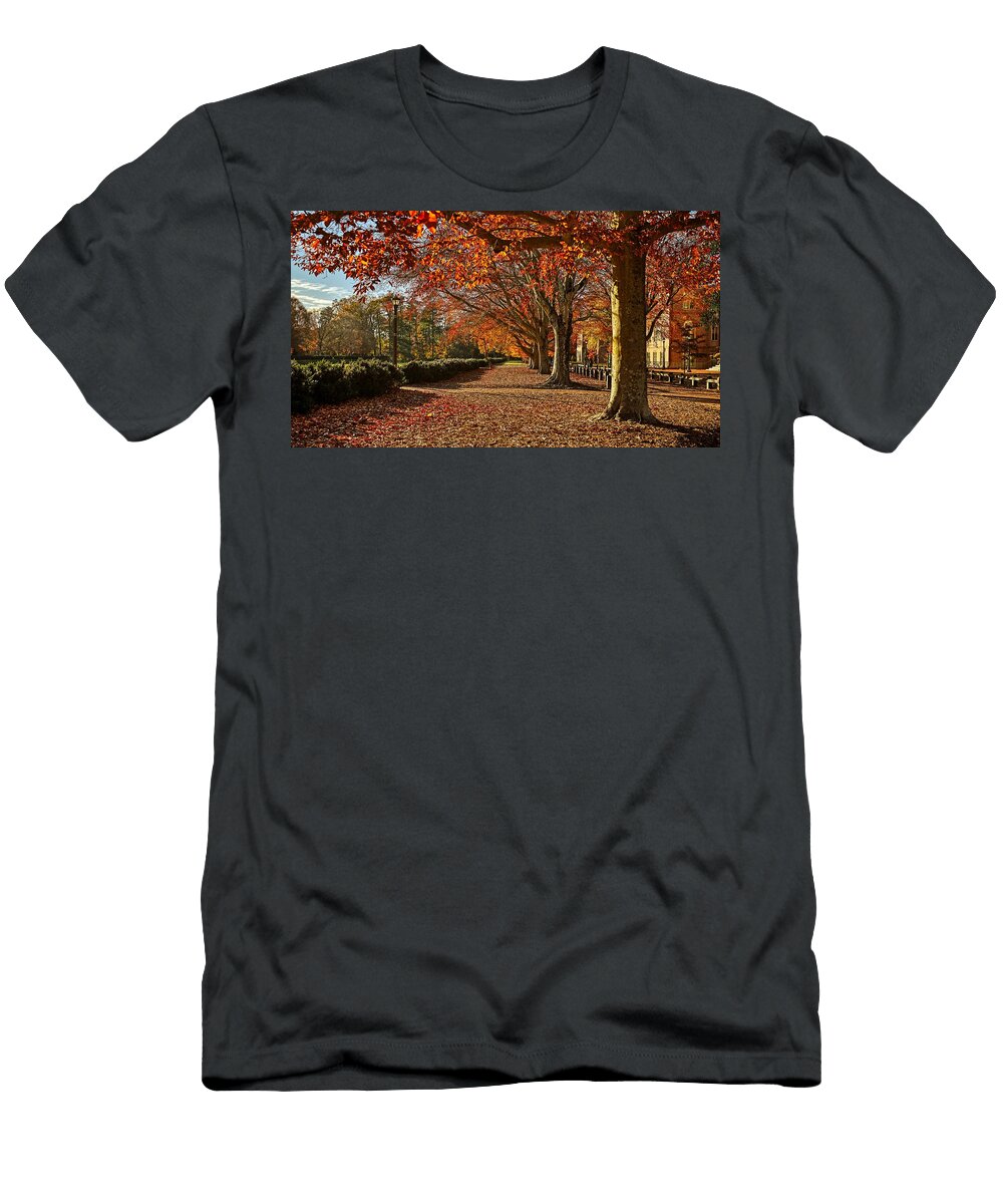 Autumn Campus Pathway Mountain Dreams T-Shirt