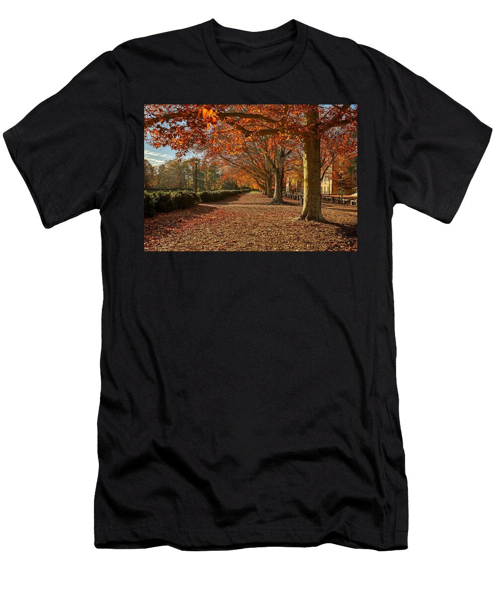 Autumn Pathway Mountain Dreams T-Shirt