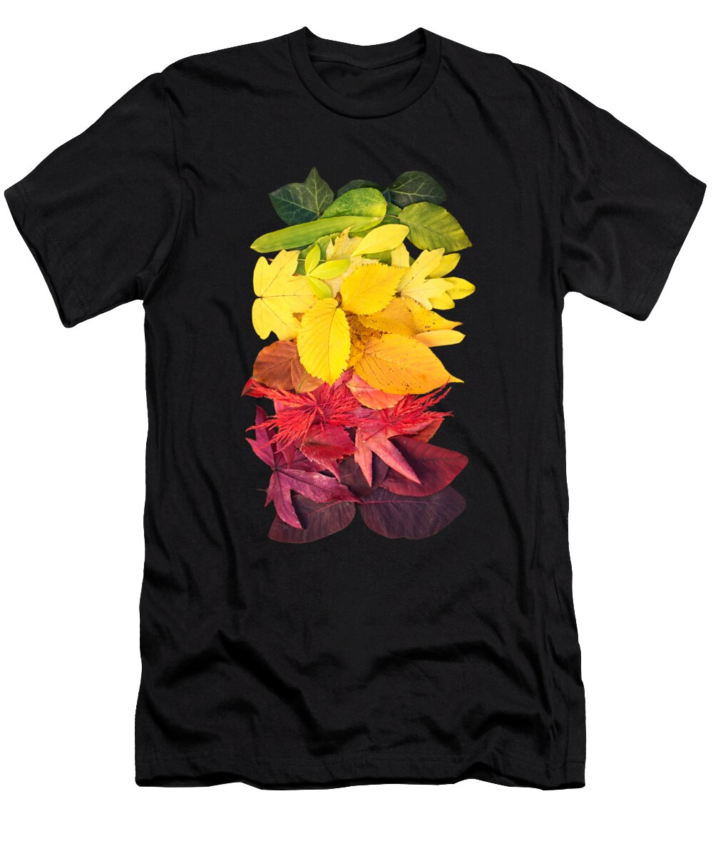 Autumn Rainbow Foliage Arrangement Delphimages Photo Creations T-Shirt