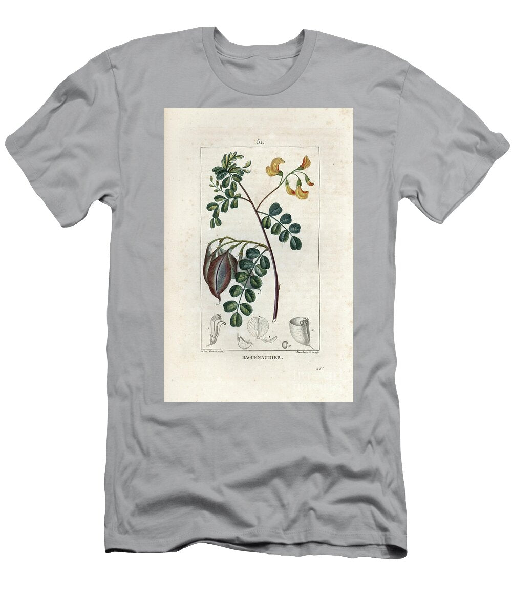 Baguenaudier Ou Arbre a Bladder European School T-Shirt
