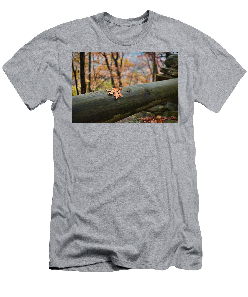 Balancing Act Paulette B Wright T-Shirt