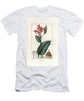Balliier Rouge Ou Toloman Ou Encore Conflore Indian Cane Canna Indica European School T-Shirt