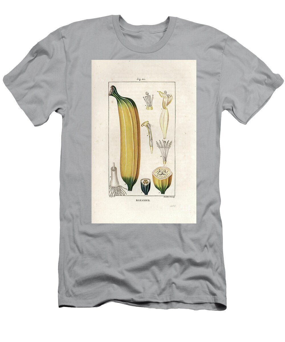Banana Flower and Fruit and Section Banana Fruit Musa Paradisiaca European School T-Shirt