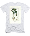 Baobab Fleur Et Fruit Engraving By Lambert Fils African Baobab Tree Adansonia Digitata Showing Flower Leaves and Fruit European School T-Shirt