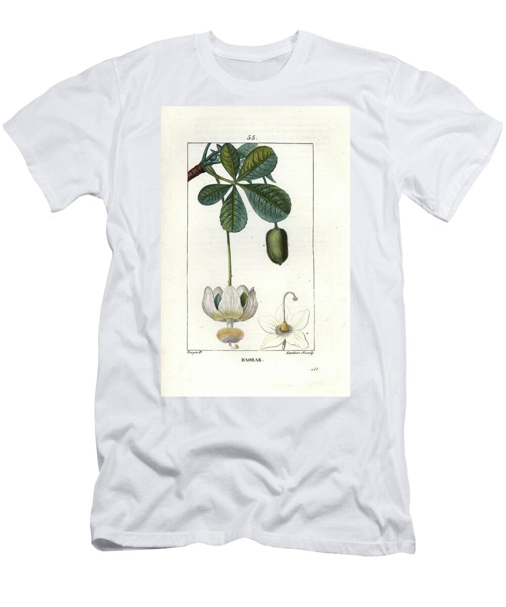 Baobab Fleur Et Fruit Engraving By Lambert Fils African Baobab Tree Adansonia Digitata Showing Flower Leaves and Fruit European School T-Shirt
