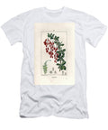 Barberry or Wine Maker Barberry Berberis Vulgaris European School T-Shirt