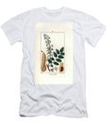Baumier Du Perou Peruvian Balsam Tree Myroxylon Balsamum European School T-Shirt