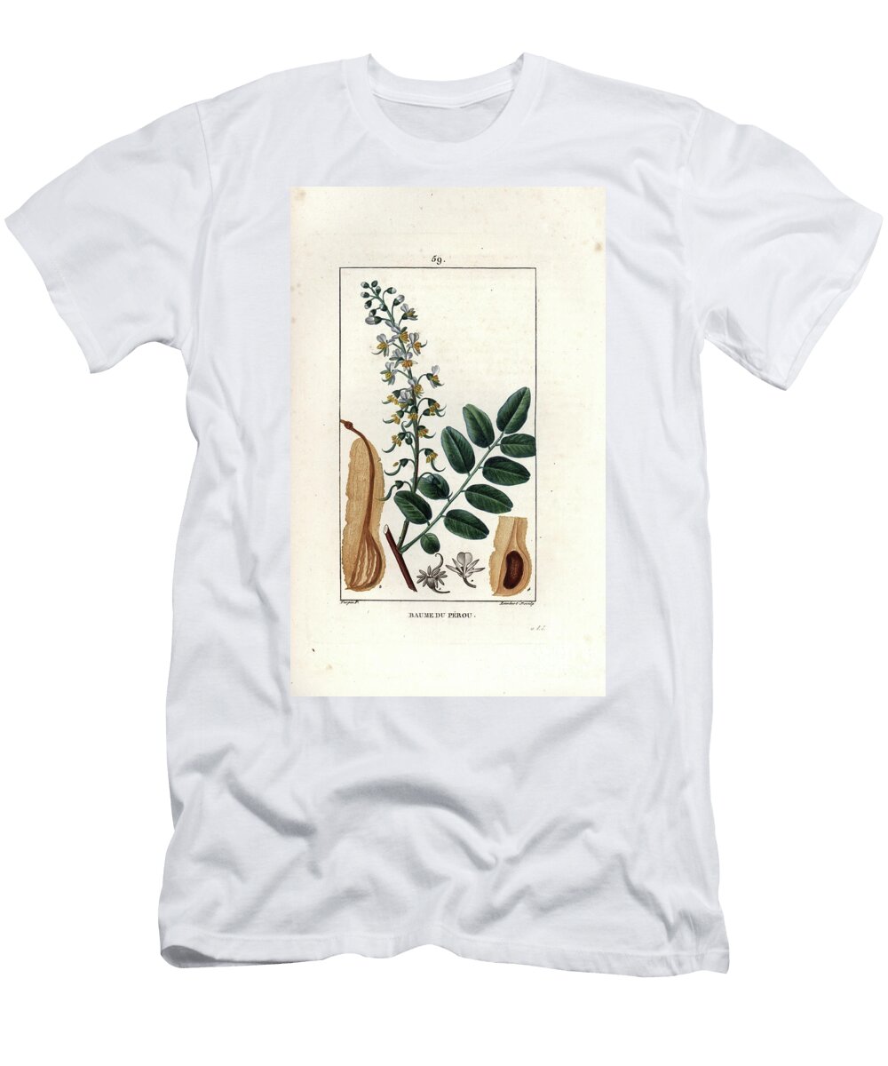 Baumier Du Perou Peruvian Balsam Tree Myroxylon Balsamum European School T-Shirt
