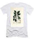 Beech Tree Fagus Sylvatica Pierre Jean Francois Turpin T-Shirt