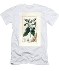 Belladonna or Black Button or Cherry of the Devil European School T-Shirt