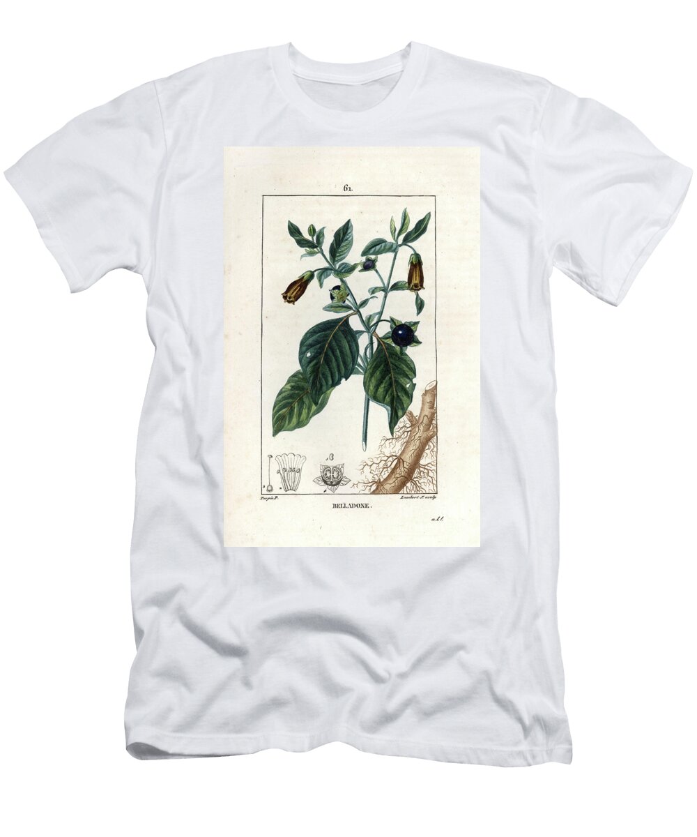 Belladonna or Black Button or Cherry of the Devil European School T-Shirt