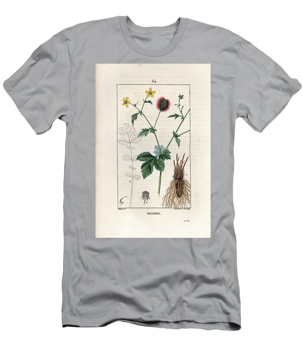 Benoite Commune Ou Herbe Du Bon Soldat European School T-Shirt