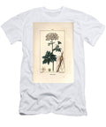 Benzoin or Imperatoire Masterwort Imperatoria Ostruthium with Flower Leaf and Root Pierre Jean Francois Turpin T-Shirt