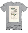 Berce Ou Charavie Common Hogweed or Cow Parsnip Heracleum Sphondylium European School T-Shirt