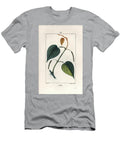Betel Engraving By Lambert Fils Betel Piper Betel European School T-Shirt
