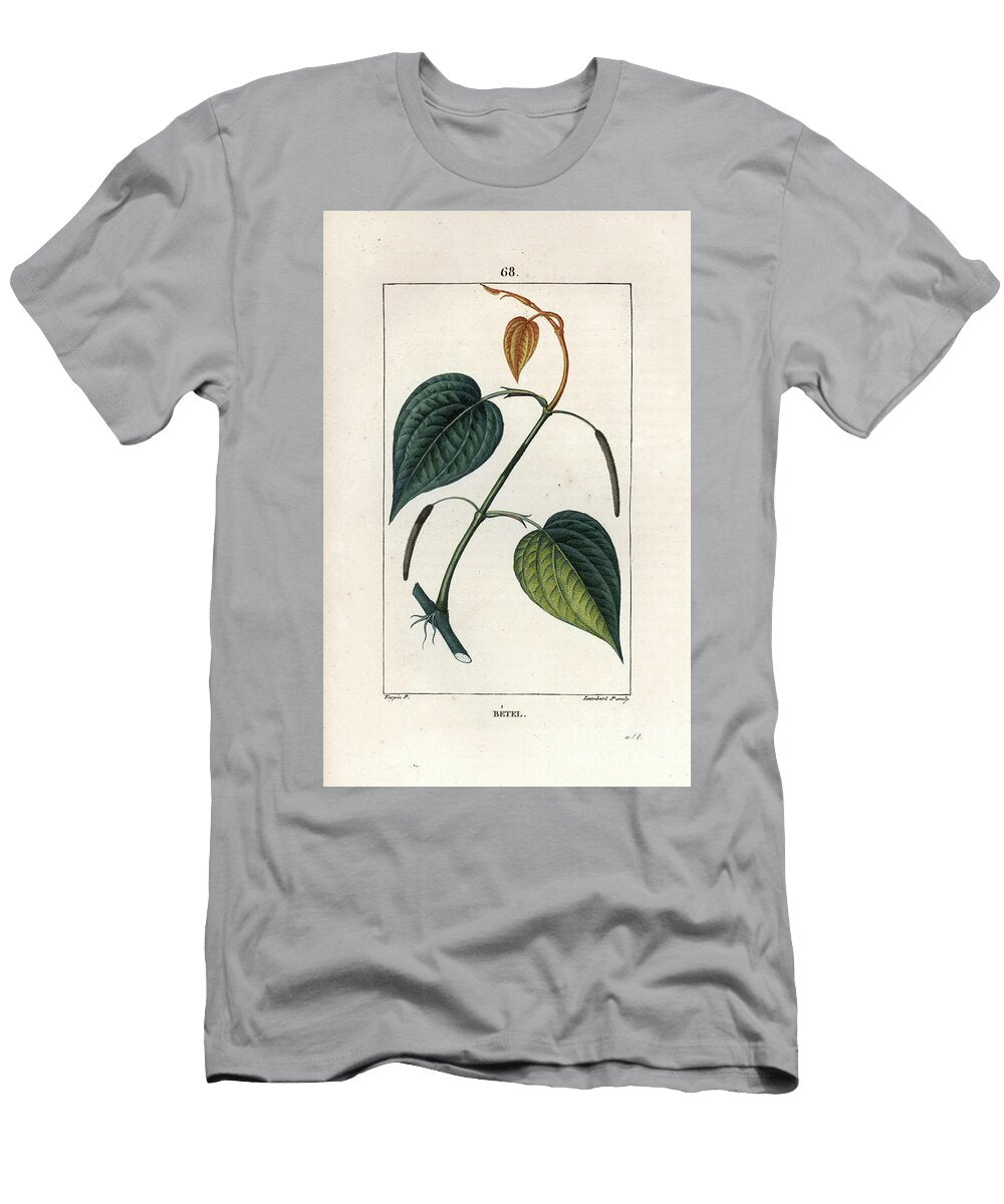 Betel Engraving By Lambert Fils Betel Piper Betel European School T-Shirt