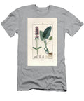 Betoine or Epiary Officinale Betony or Bishopwort Stachys Officinalis European School T-Shirt