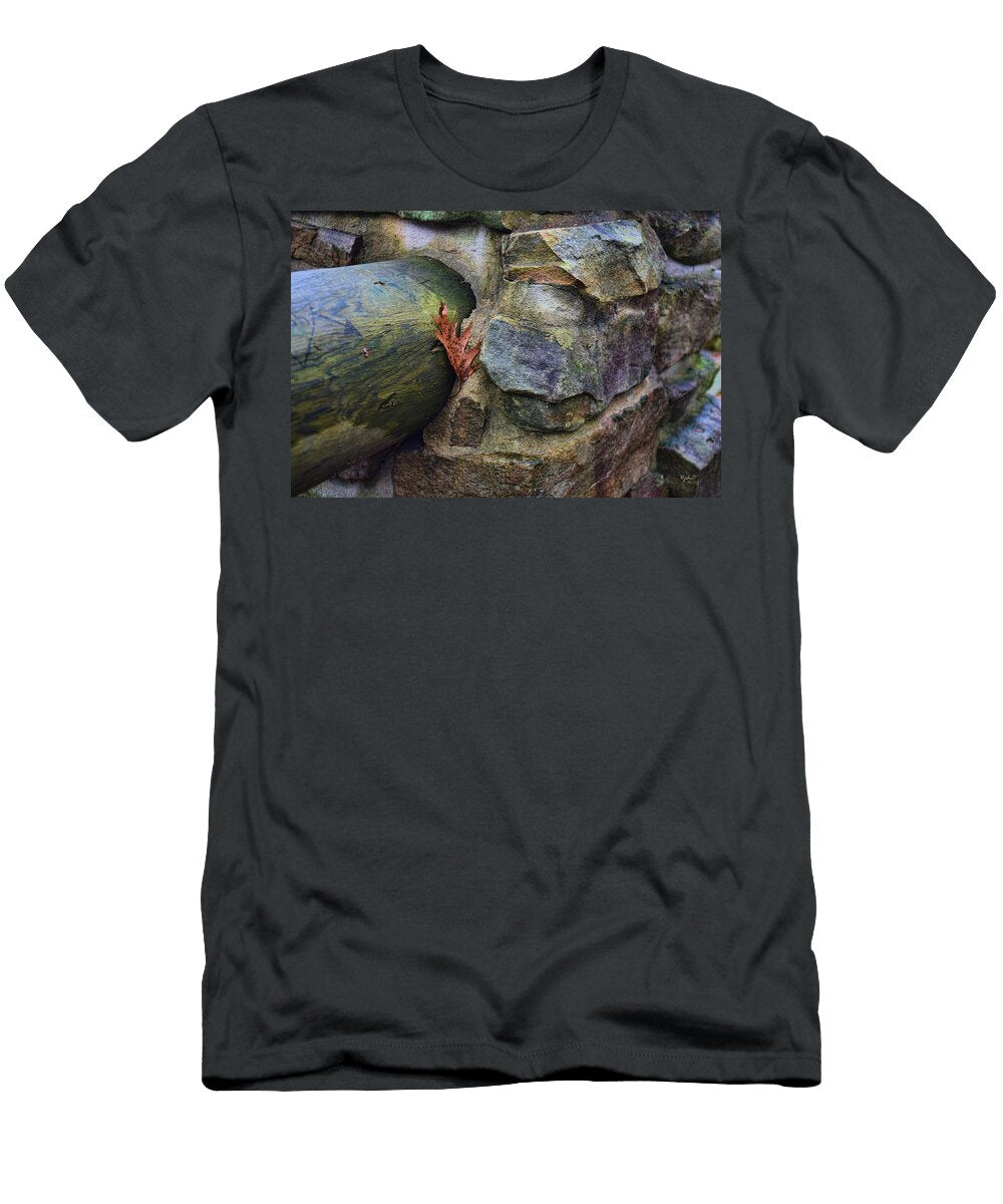 Between a Rock and Paulette B Wright T-Shirt