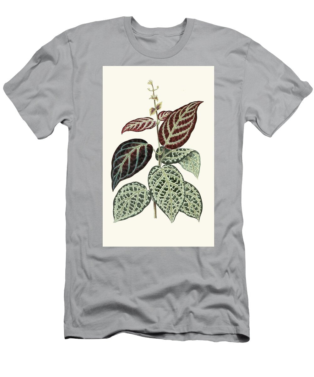Bignonia Argyroviolascens Edward Joseph Lowe English T-Shirt