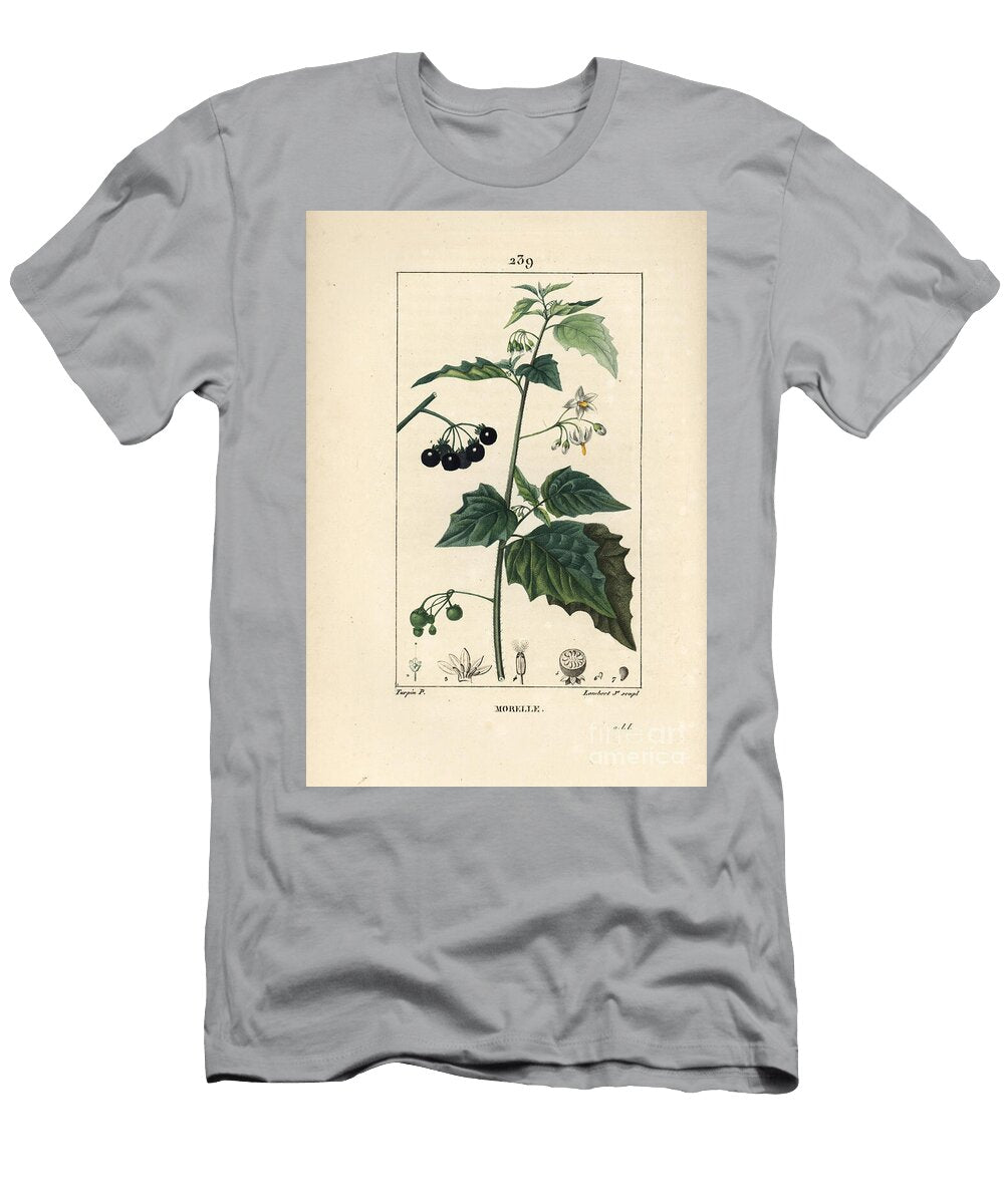 Black Nightshade Dog Killer or Wolf Grape Black Nightshade Solanum Nigrum Pierre Jean Francois Turpin T-Shirt