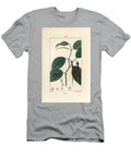 Black Pepper Black Pepper Piper Nigrum with Leaf Stalk and Ripe and Unripe Peppercorns Pierre Jean Francois Turpin T-Shirt