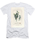 Blueberry Engraving 1830 European School T-Shirt