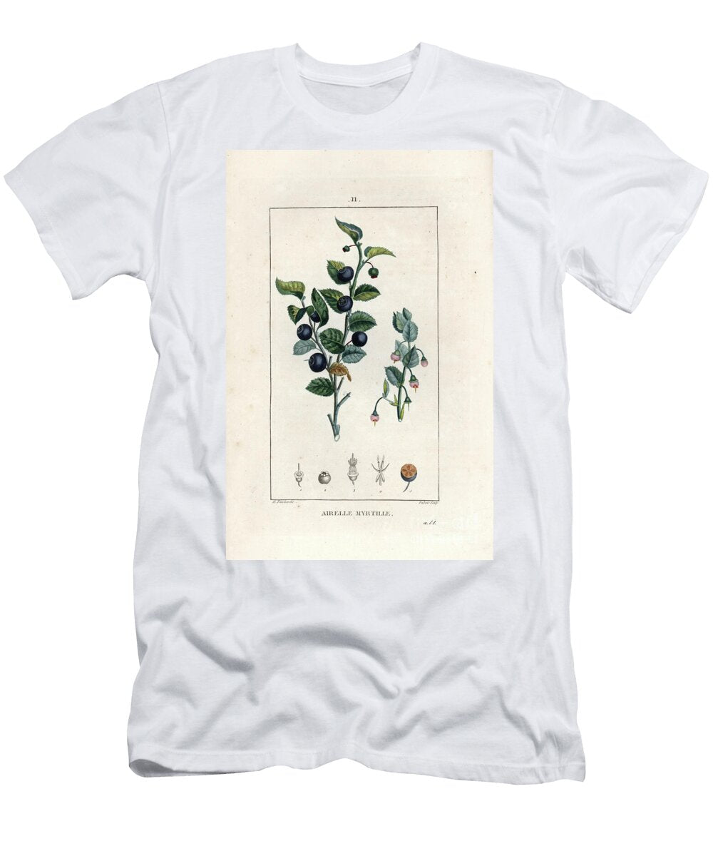 Blueberry Engraving 1830 European School T-Shirt