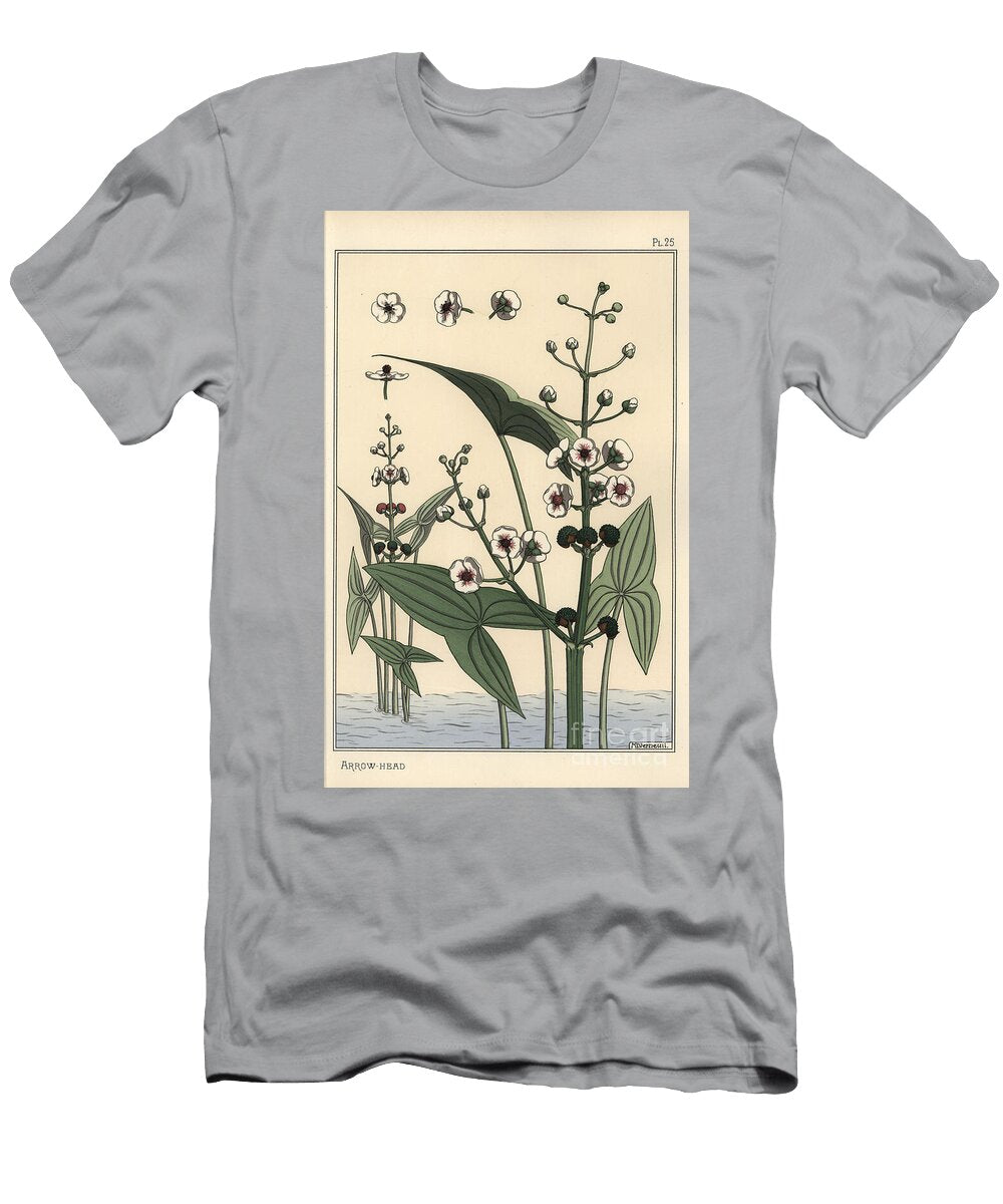 Botanical Illustration of the Arrowhead Sagittaria Sagittifolia 1897 Lithograph Eugene Grasset T-Shirt