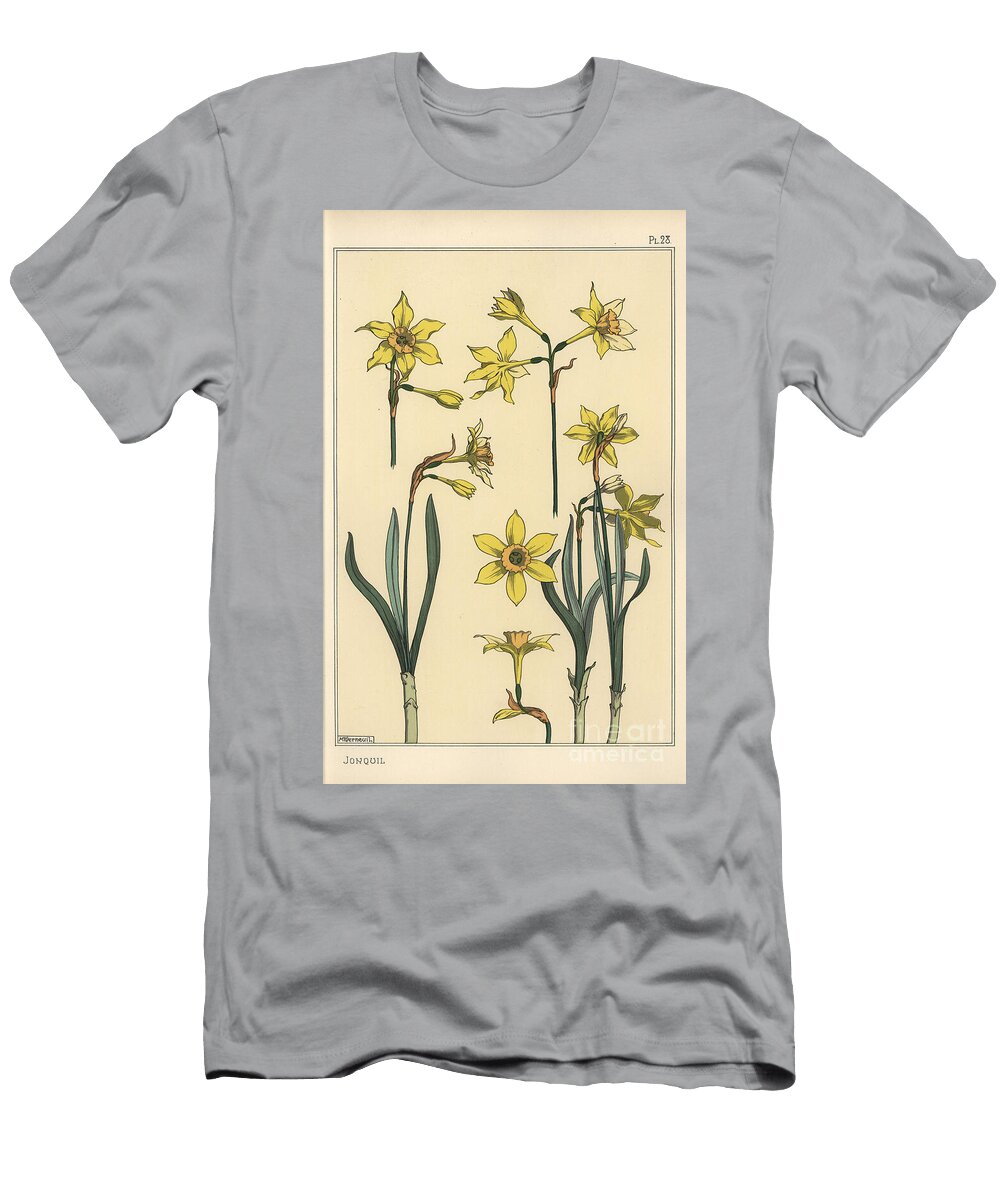 Botanical Illustration of the Jonquil Narcissus Jonquilla Showing Parts of Flower 1897 Lithograph Eugene Grasset T-Shirt