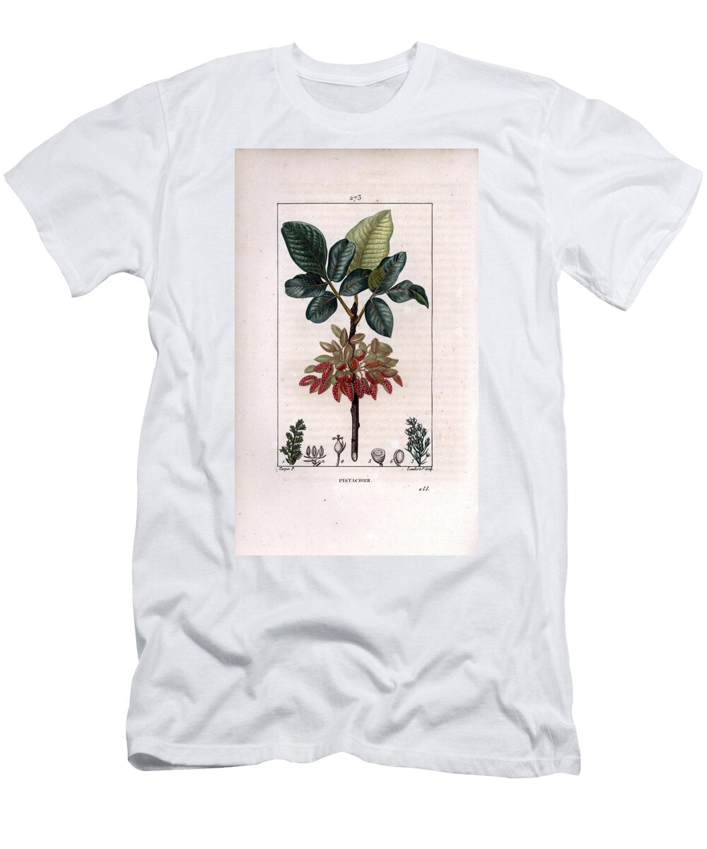 Botany Pistachio Branch and Fruit Pistachio Nut Tree Pistacia Vera with Branch Leaves Ripe Fruits Pierre Jean Francois Turpin T-Shirt