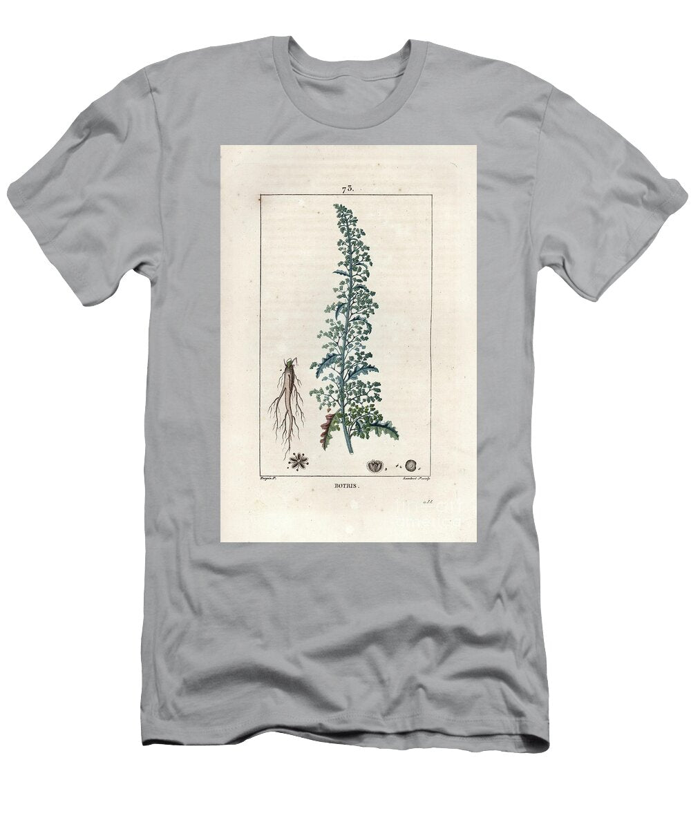 Botris Chenopodium Botrys Jerusalem Oak Goosefoot Dysphania Botrys European School T-Shirt