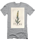 Bouillon Blanc Molene Bouillon Blanc or Molene Thapsus Mullein Verbasum Thapsus European School T-Shirt
