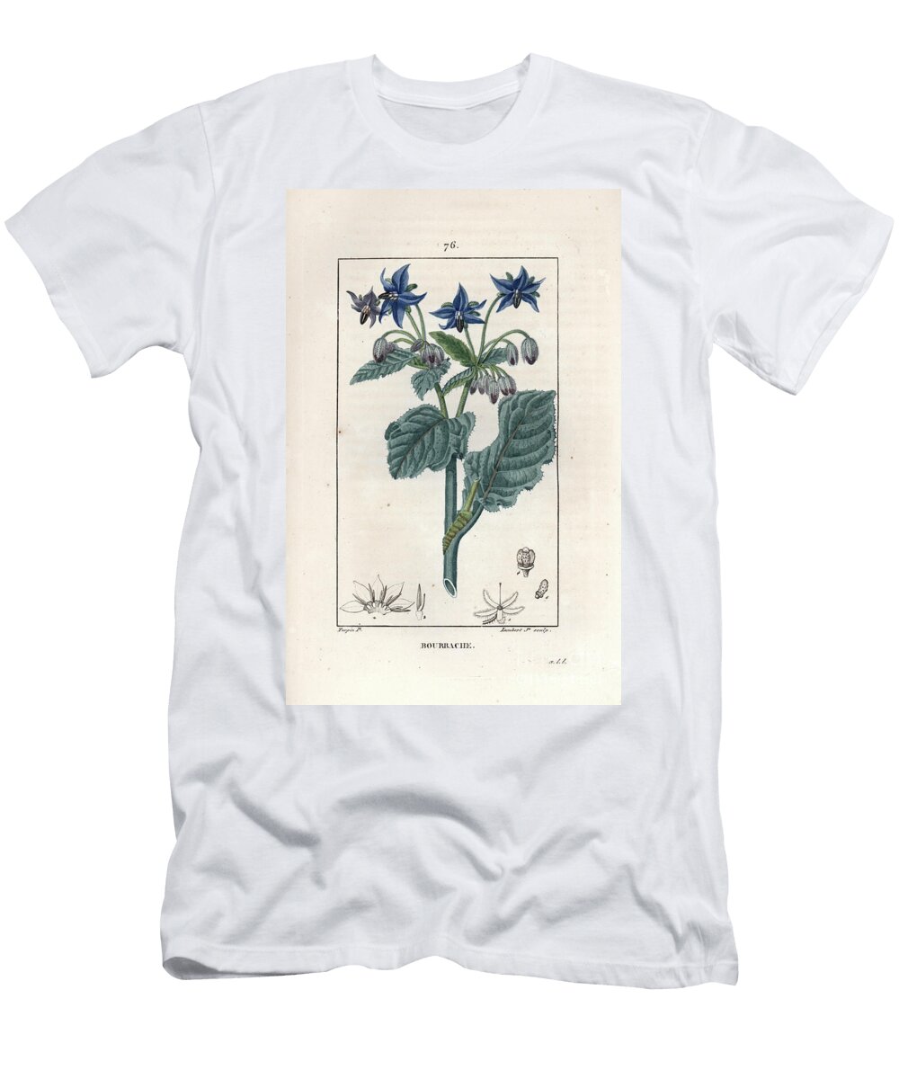 Bourrache Officinale Borage or Starflower Borago Officinalis European School T-Shirt