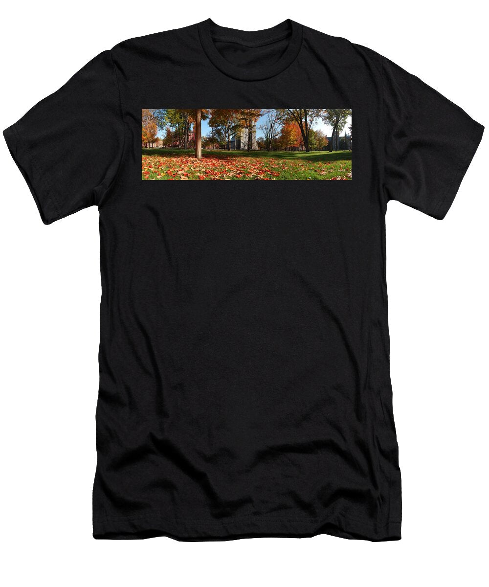 Bowdoin Collage Quad Nomad Art and Design T-Shirt
