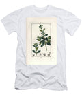 Box Tree Buxus Sempervirens with Fruit and Leaves European School T-Shirt