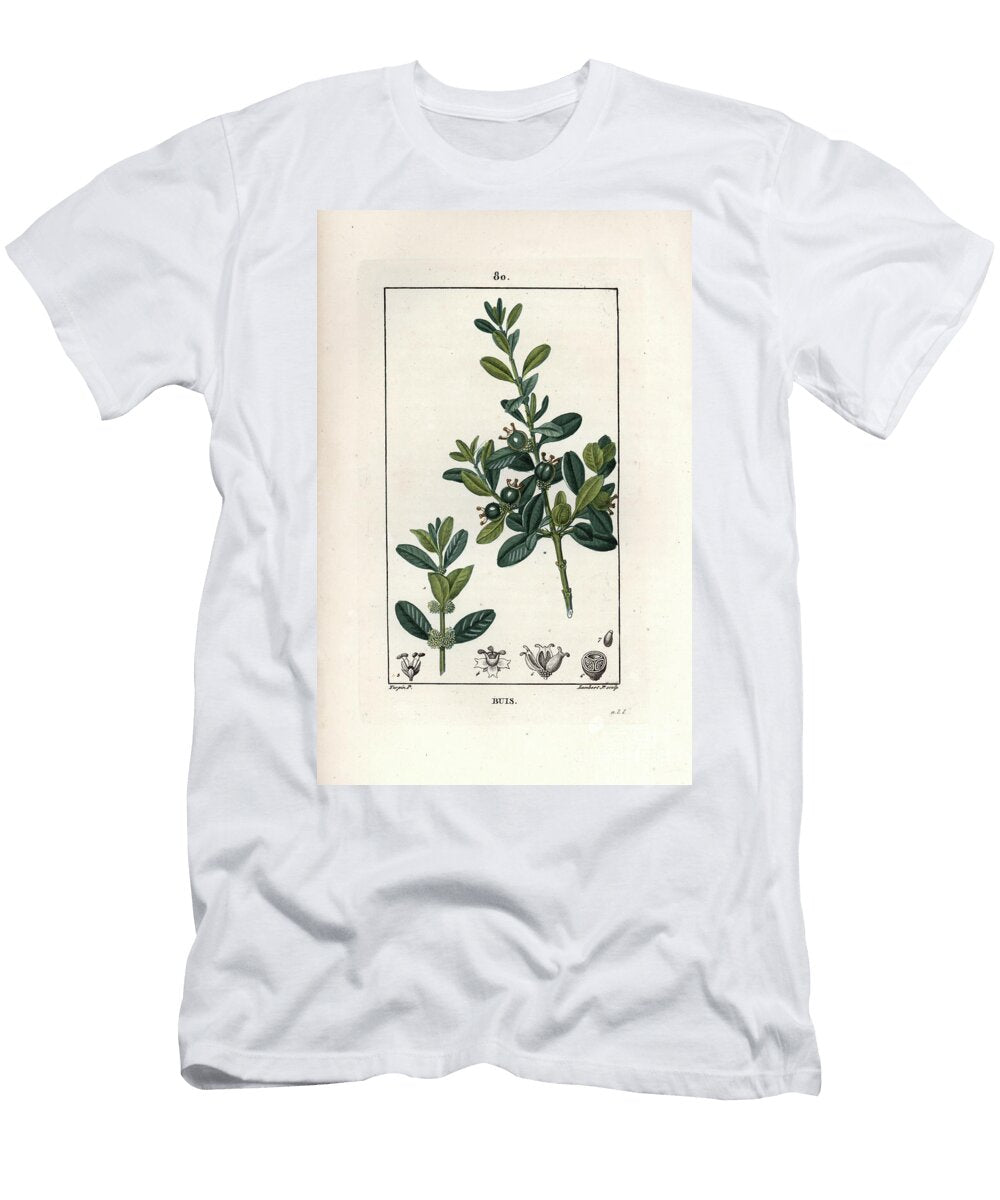 Box Tree Buxus Sempervirens with Fruit and Leaves European School T-Shirt